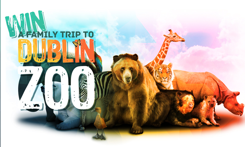 Win A Family Trip To Dublin Zoo Competition